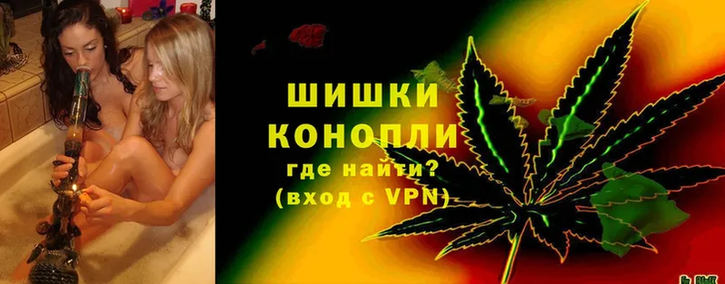 как найти закладки  Железноводск  Шишки марихуана SATIVA & INDICA 